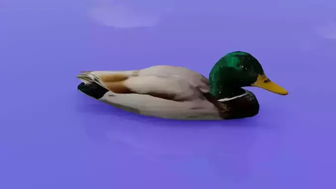 Duck 3D model floating in water Low-poly 3D model