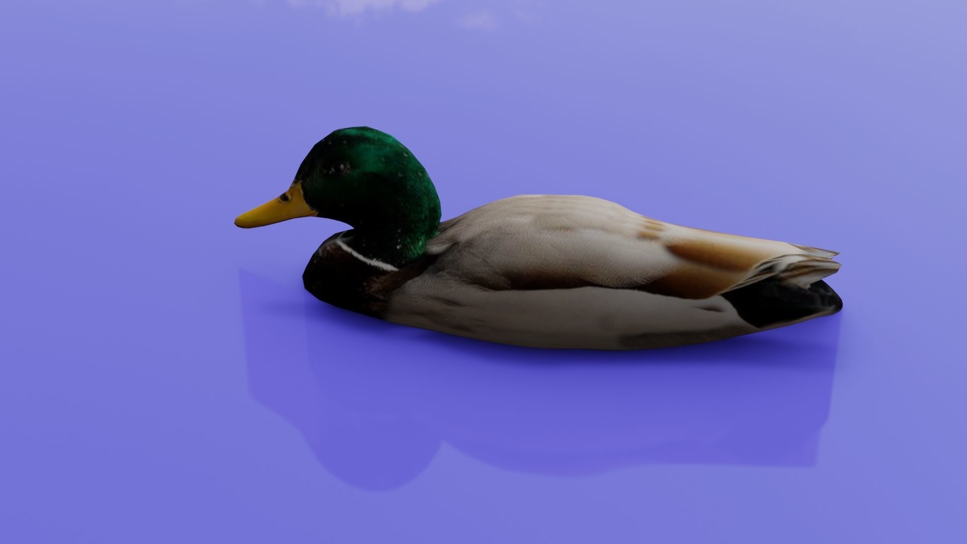 Duck 3D model floating in water Low-poly 3D model_11