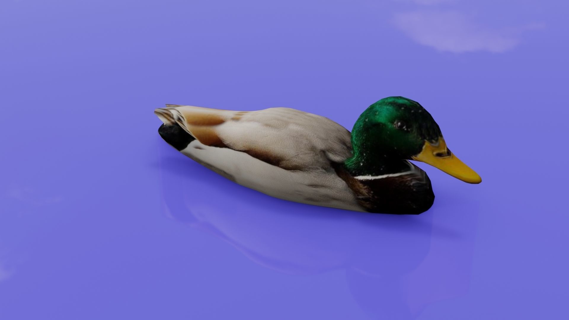 Duck 3D model floating in water Low-poly 3D model_19