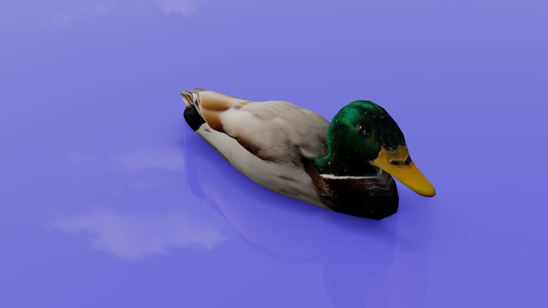 Duck 3D model floating in water Low-poly 3D model_20