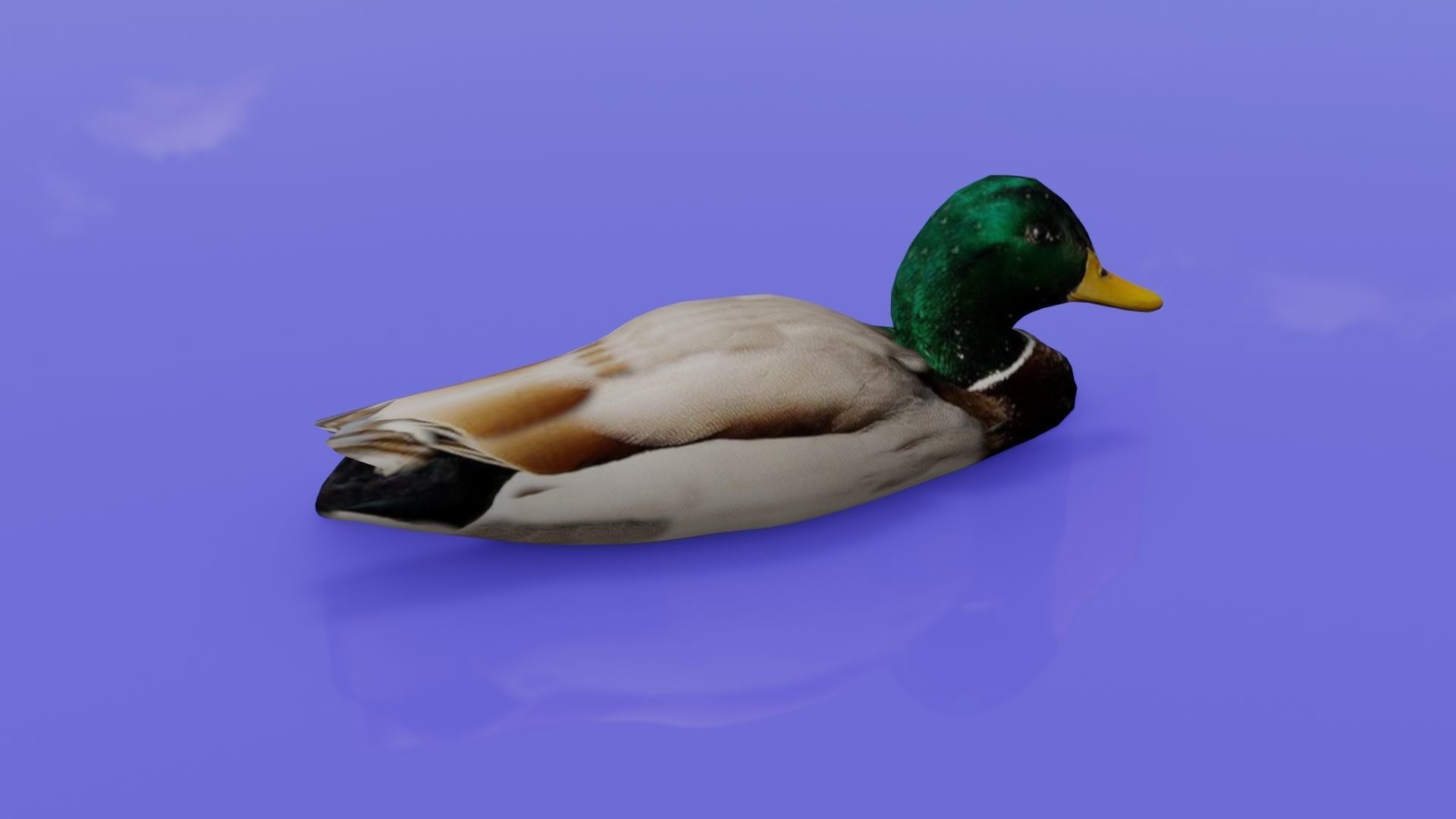 Duck 3D model floating in water Low-poly 3D model_3