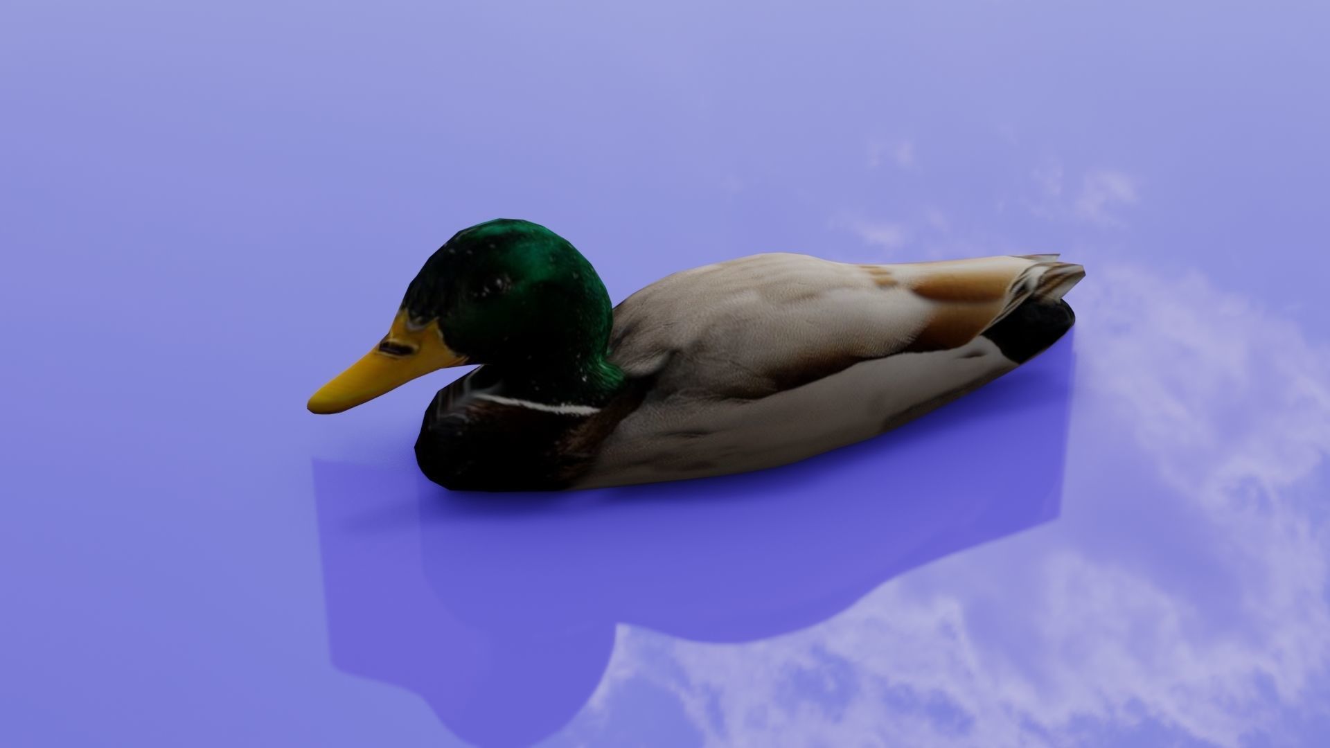 Duck 3D model floating in water Low-poly 3D model_13
