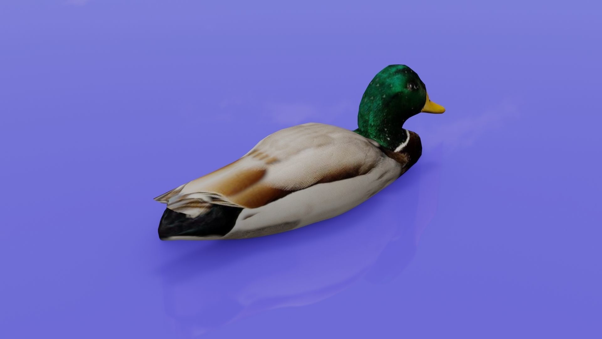 Duck 3D model floating in water Low-poly 3D model_4