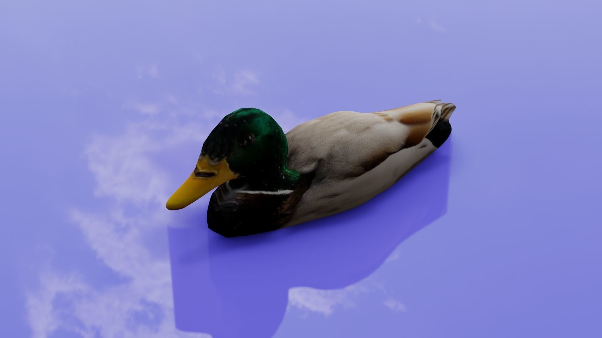 Duck 3D model floating in water Low-poly 3D model_14