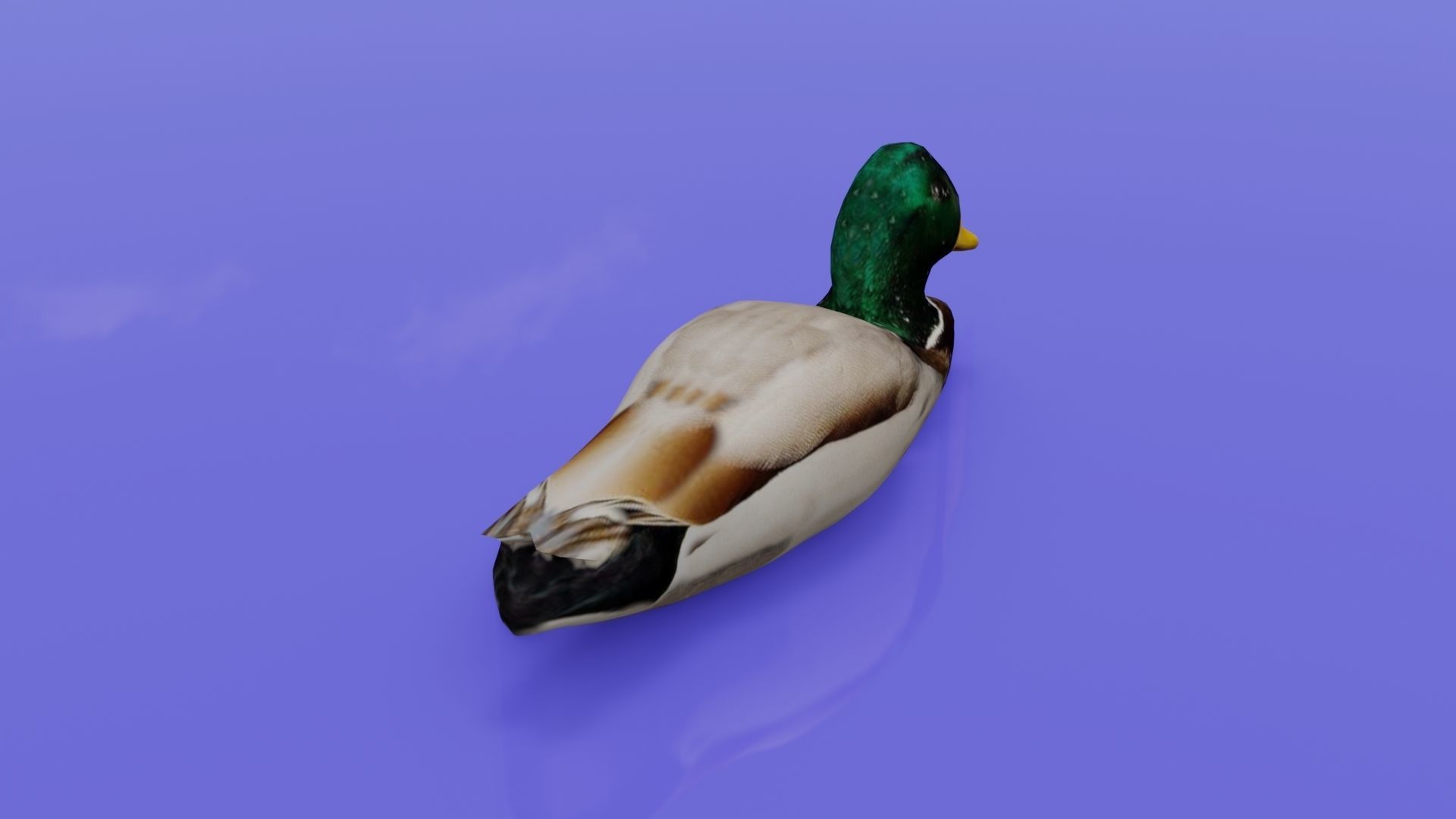 Duck 3D model floating in water Low-poly 3D model_5