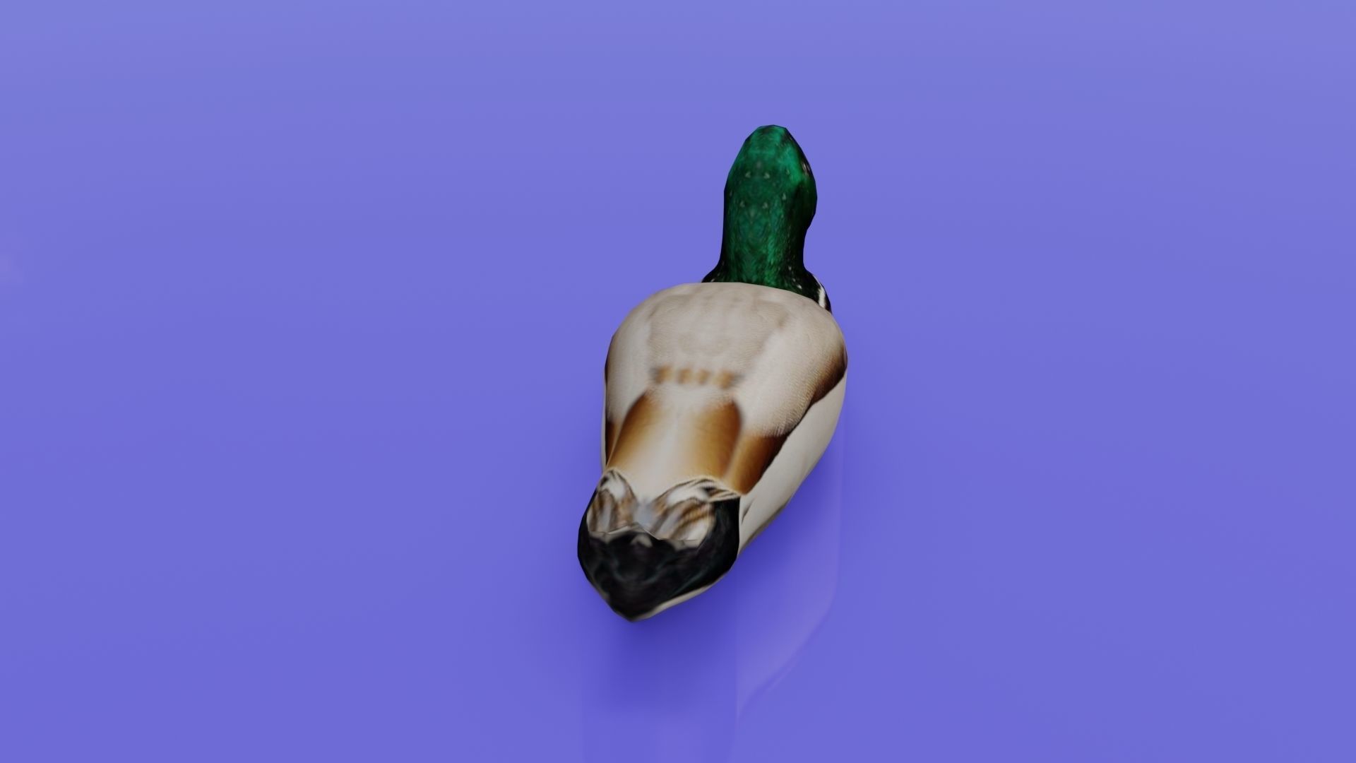 Duck 3D model floating in water Low-poly 3D model_6