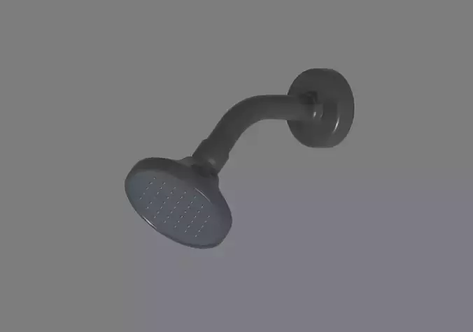 Shower Head 3D model