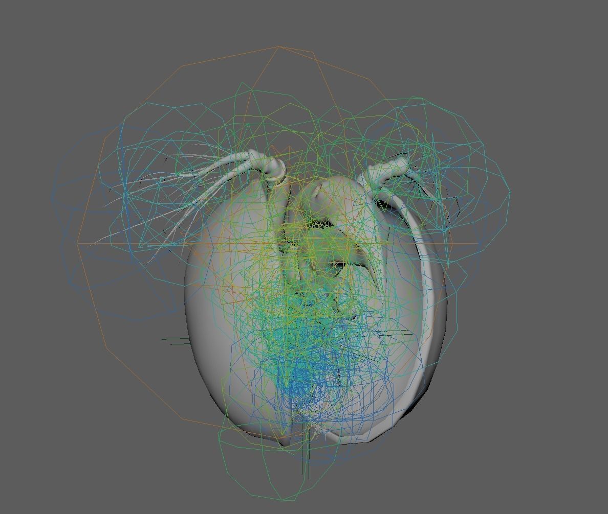 Lynceus Rigged 3D model_8