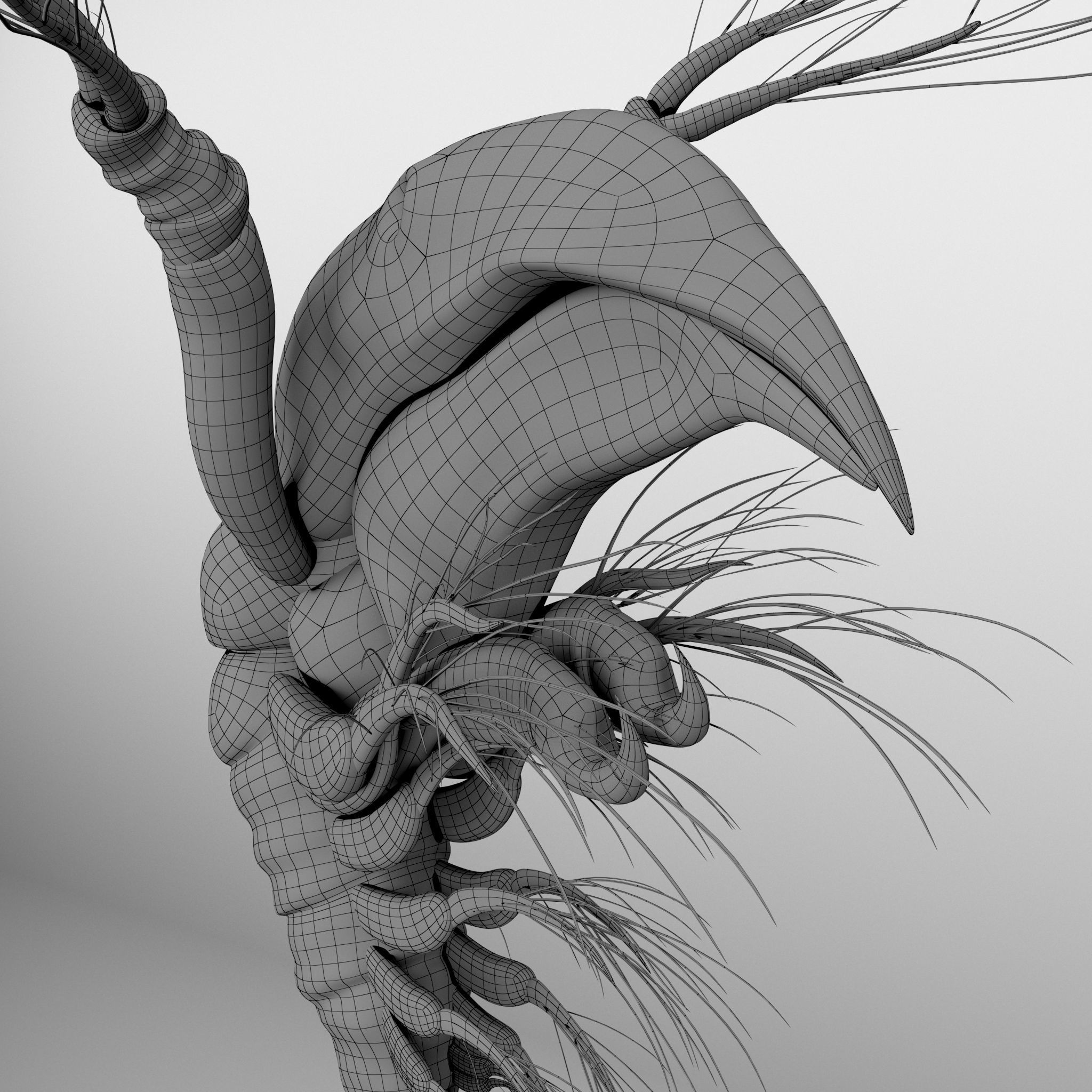 Lynceus Rigged 3D model_10