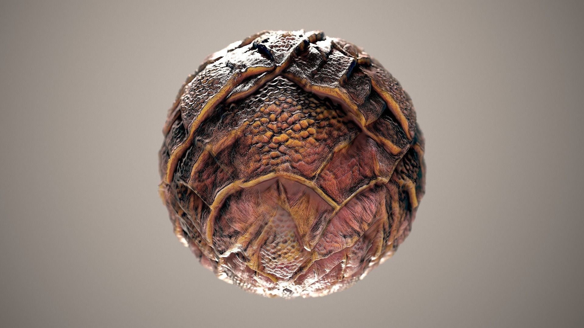 10 Materials Skin Dragon Seamless PBR Volume 20 Texture_3