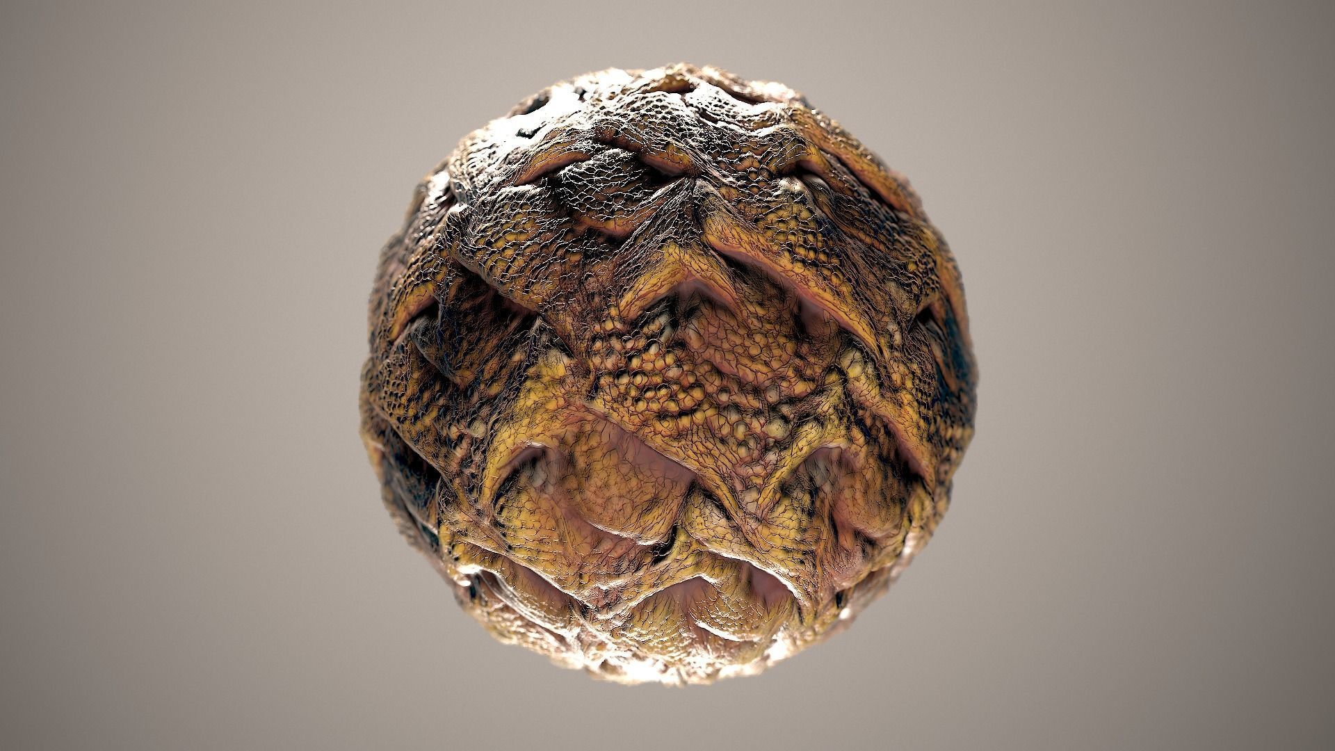 10 Materials Skin Dragon Seamless PBR Volume 20 Texture_8
