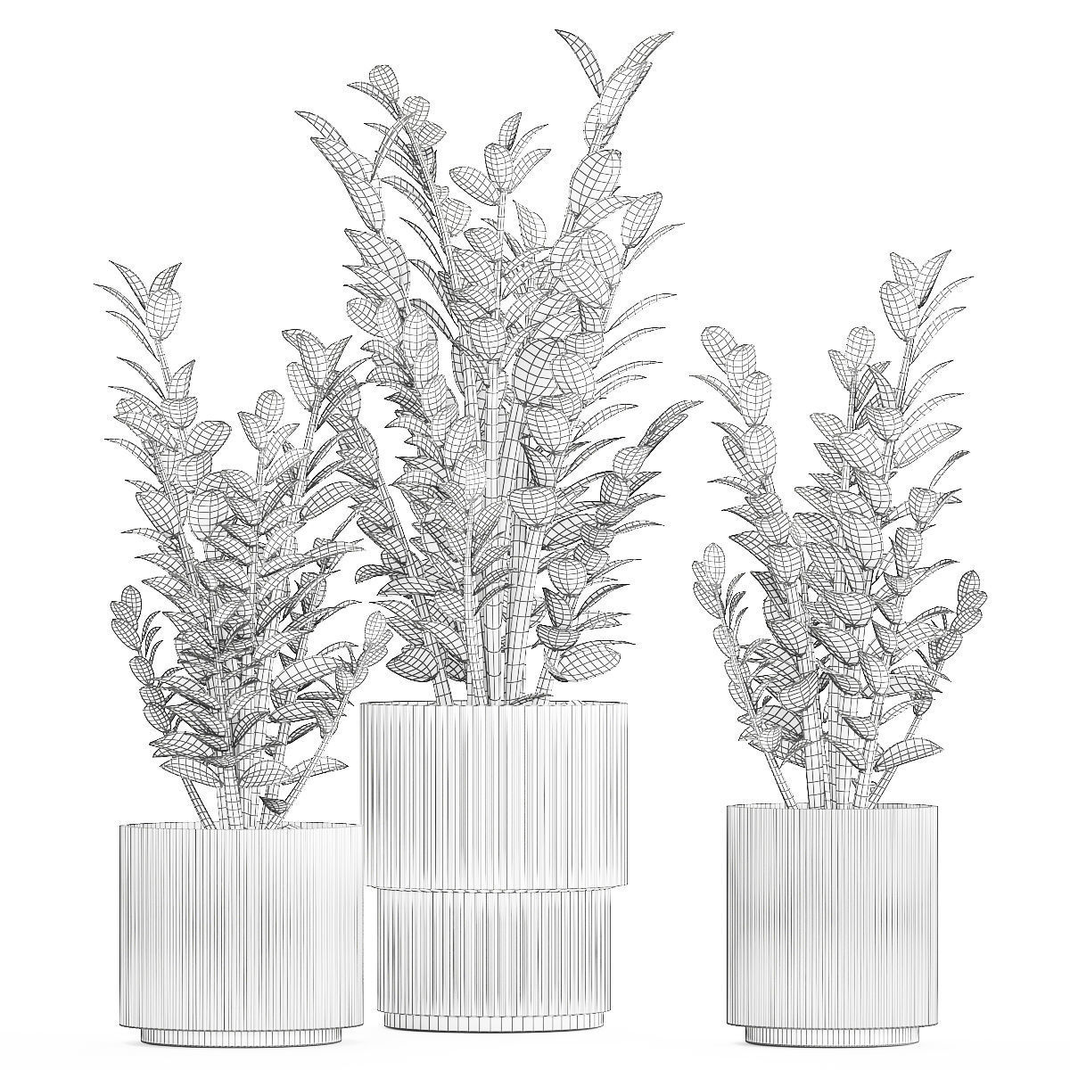 Beautiful Zamioculcas Plants In Flowerpots 1239 3D model_11