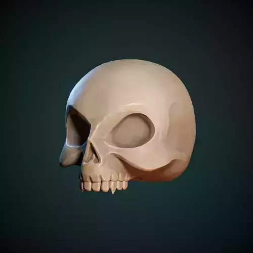 Stylized Skull