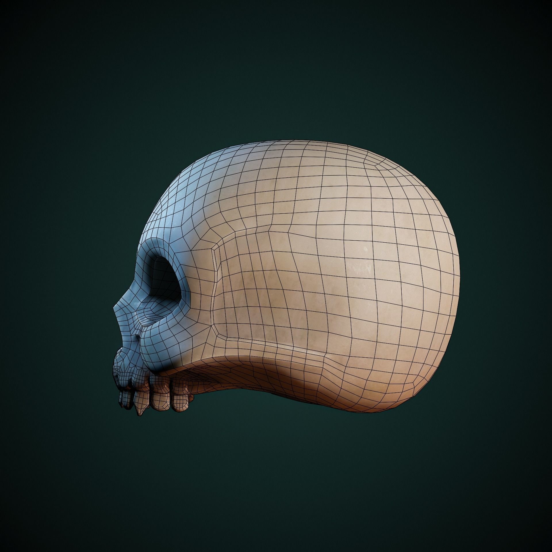 Stylized Skull Low-poly 3D model_4