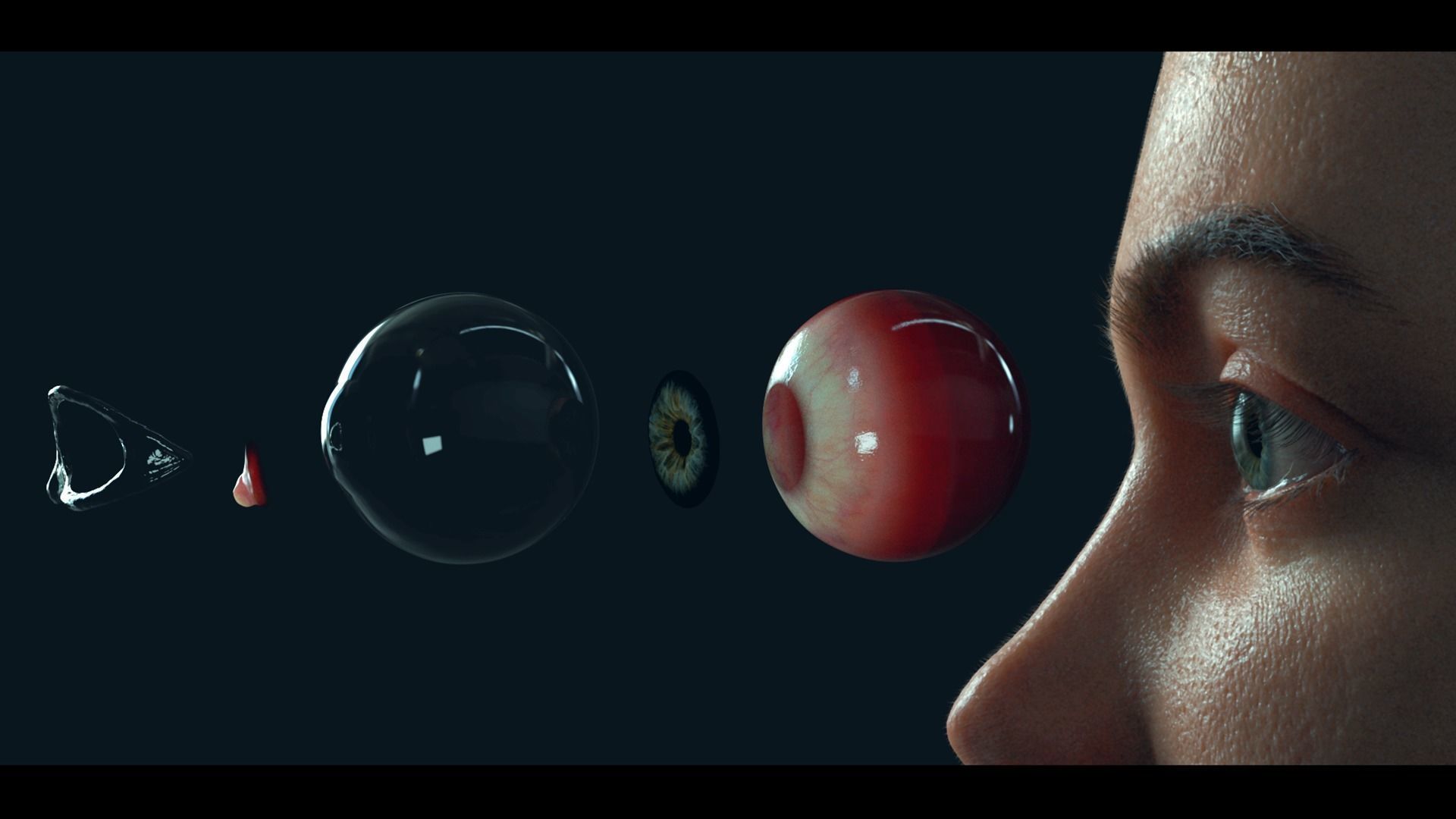 PHOTOREALISTIC EYE PACK WITH RIG AND ANIMATION 3D model_2