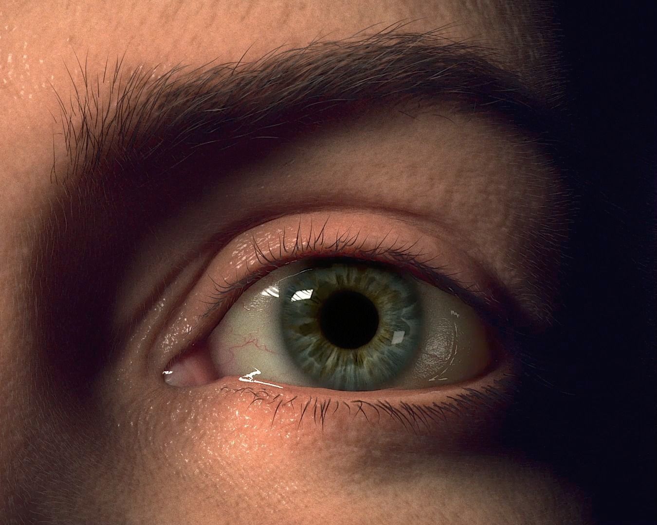 PHOTOREALISTIC EYE PACK WITH RIG AND ANIMATION 3D model_6