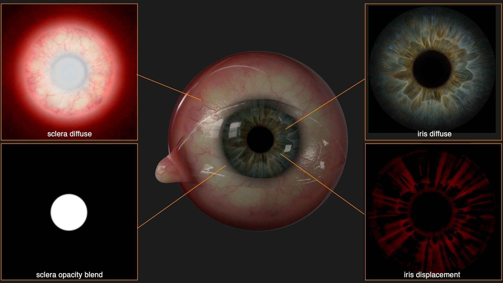 PHOTOREALISTIC EYE PACK WITH RIG AND ANIMATION 3D model_3