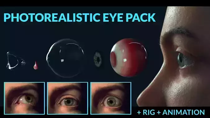PHOTOREALISTIC EYE PACK WITH RIG AND ANIMATION 3D model