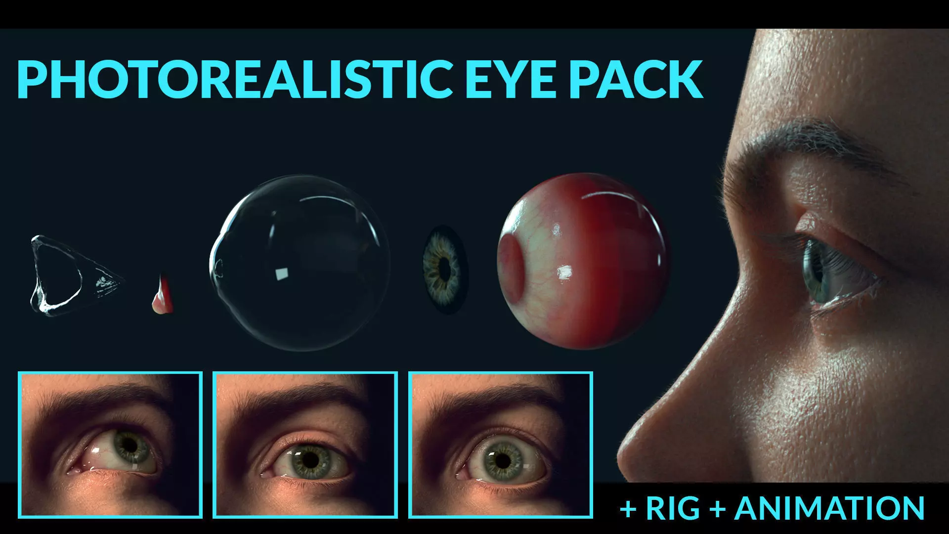PHOTOREALISTIC EYE PACK WITH RIG AND ANIMATION 3D model_0