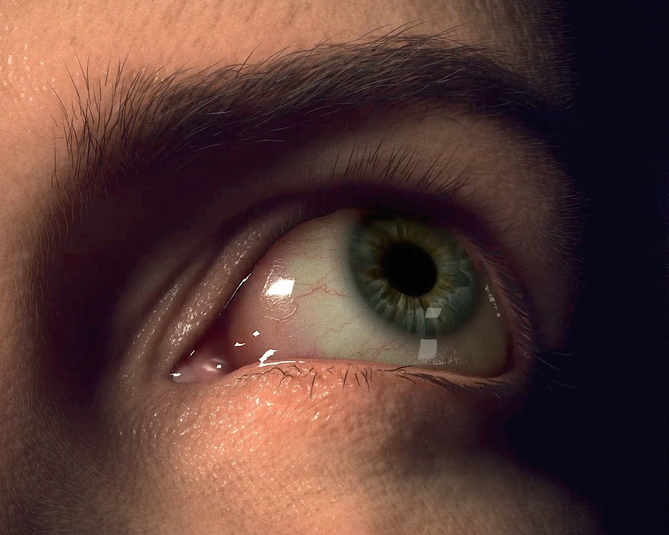 PHOTOREALISTIC EYE PACK WITH RIG AND ANIMATION 3D model_7