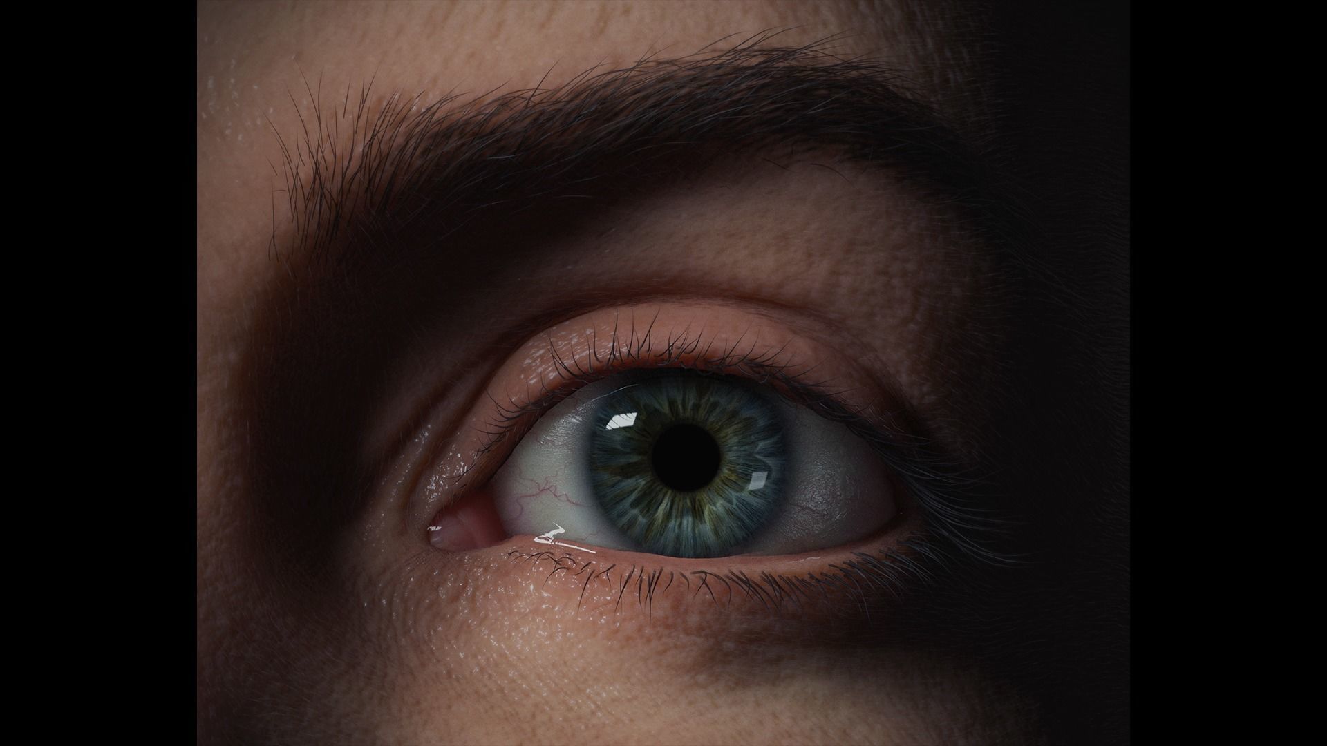 PHOTOREALISTIC EYE PACK WITH RIG AND ANIMATION 3D model_1