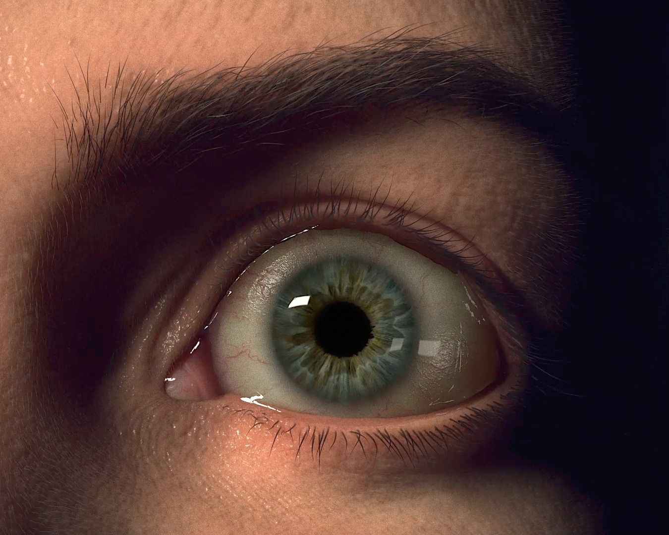 PHOTOREALISTIC EYE PACK WITH RIG AND ANIMATION 3D model_8