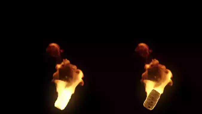 Fire Torch VDB 10s looping sequence  3D model