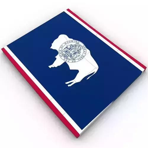 Wyoming Political Map 3D model