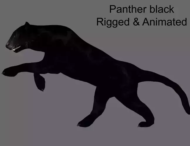 Panther black animations