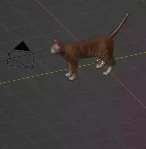3d cat