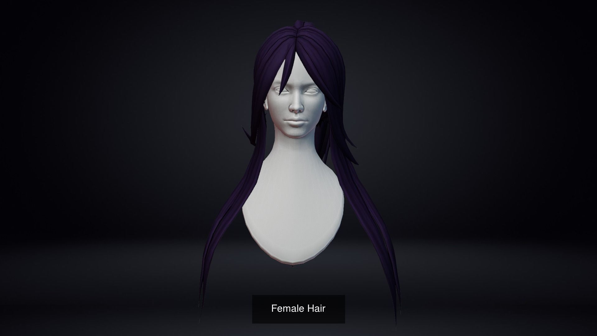 Female Hair Pack 20 Piece 3D Model Collection_14