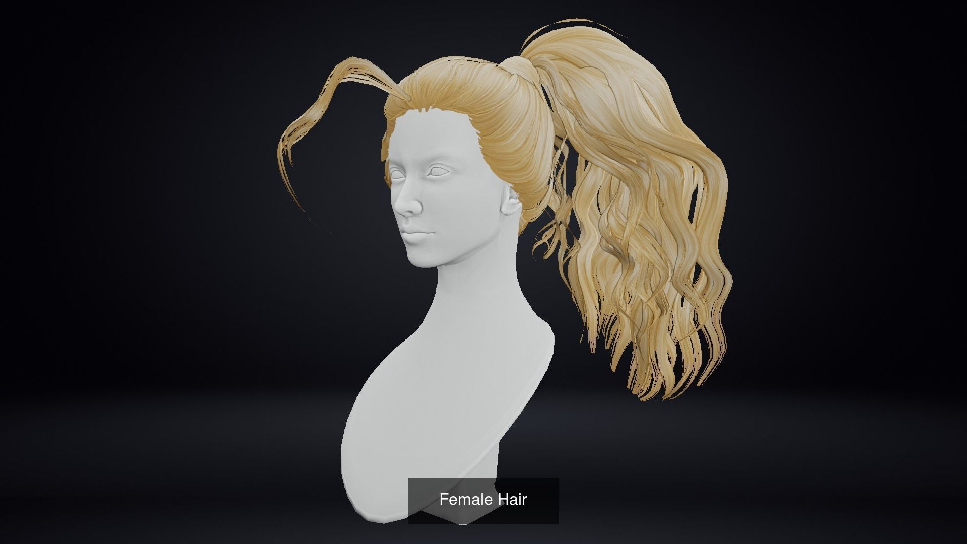 Female Hair Pack 20 Piece 3D Model Collection_17