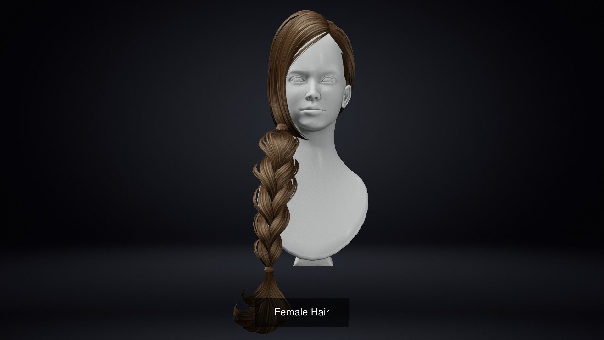 Female Hair Pack 20 Piece 3D Model Collection_8