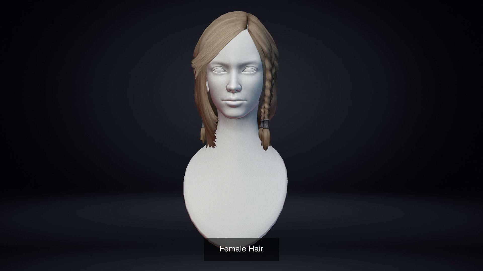 Female Hair Pack 20 Piece 3D Model Collection_15