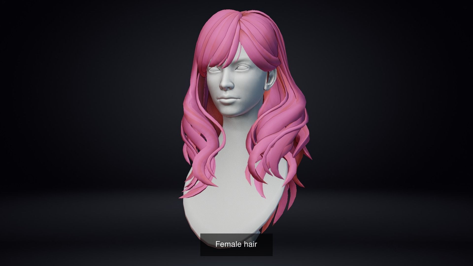 Female Hair Pack 20 Piece 3D Model Collection_21