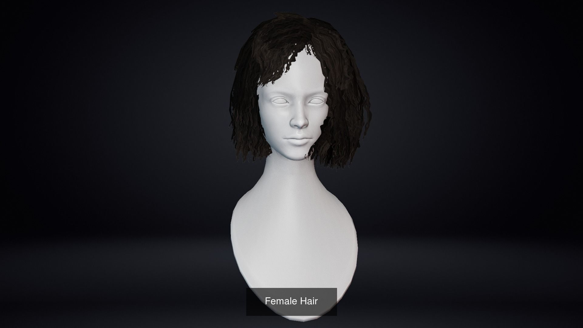 Female Hair Pack 20 Piece 3D Model Collection_3