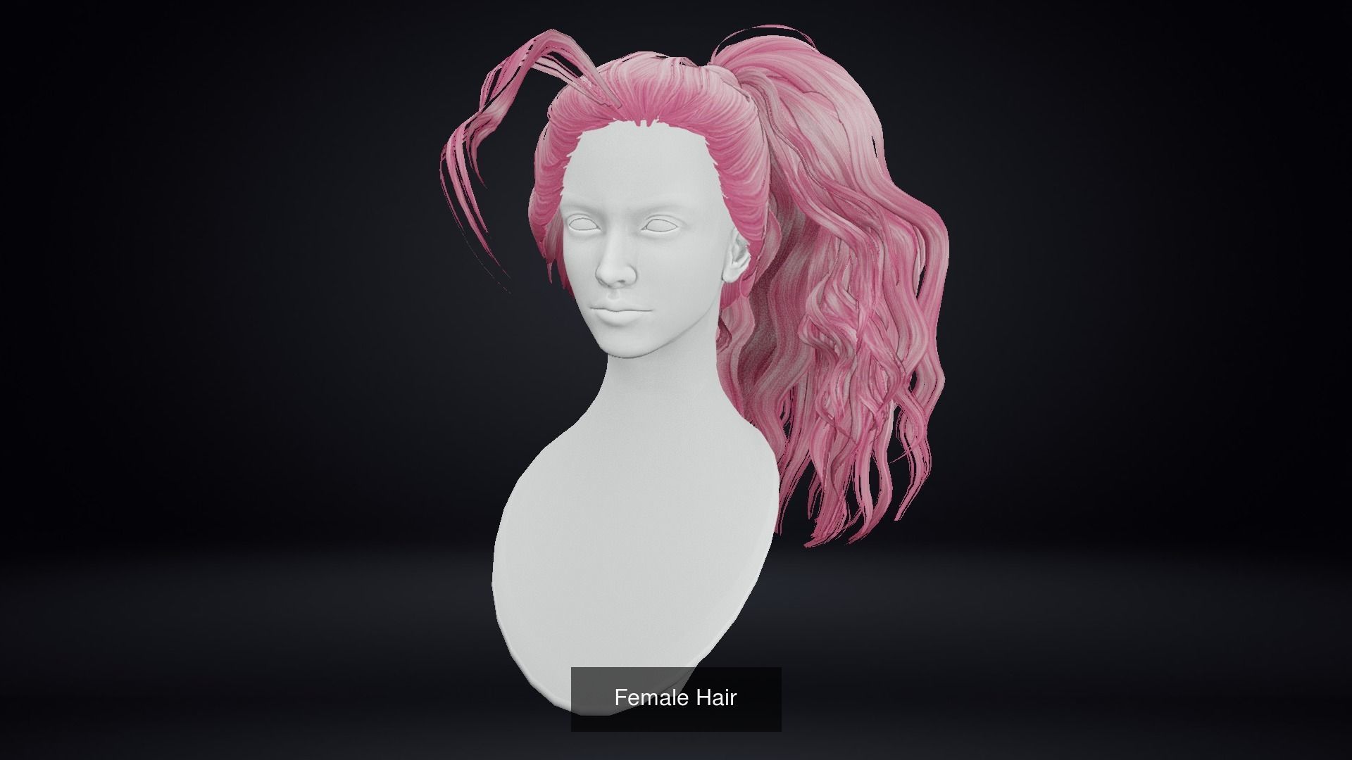 Female Hair Pack 20 Piece 3D Model Collection_16