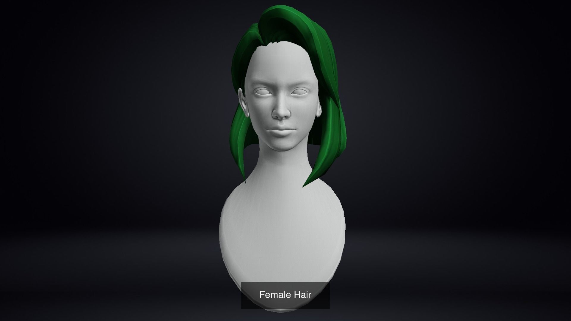 Female Hair Pack 20 Piece 3D Model Collection_20