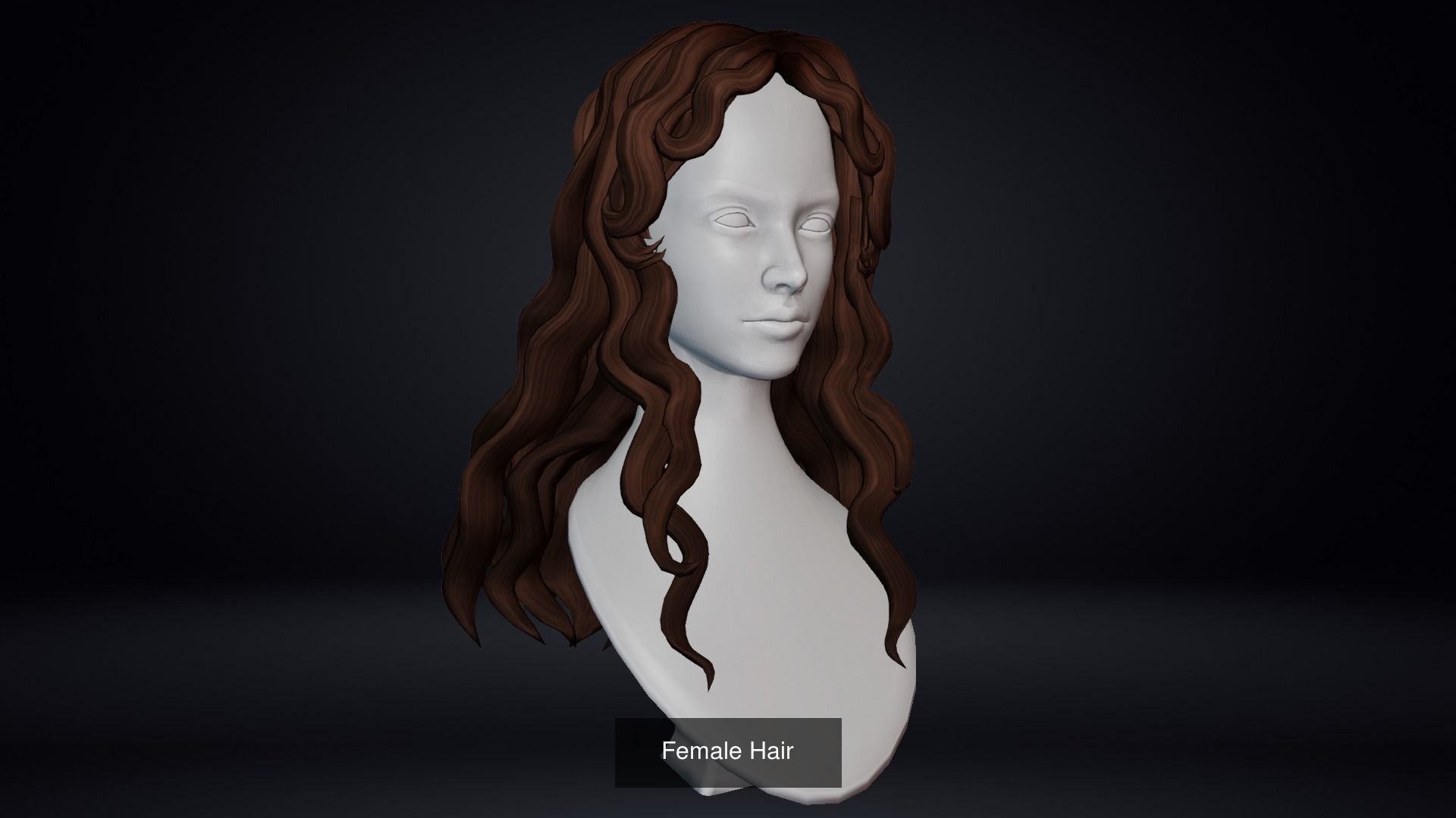 Female Hair Pack 20 Piece 3D Model Collection_6