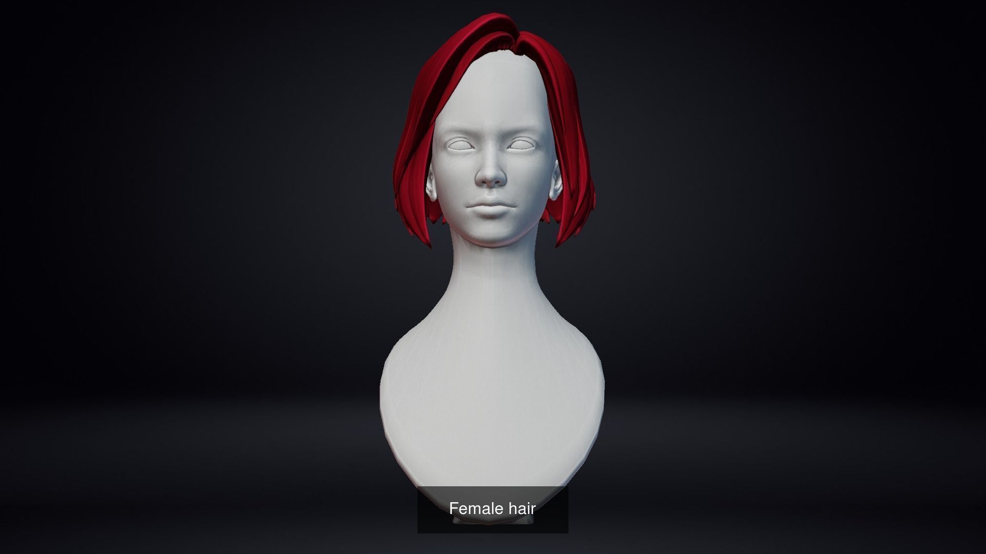 Female Hair Pack 20 Piece 3D Model Collection_19