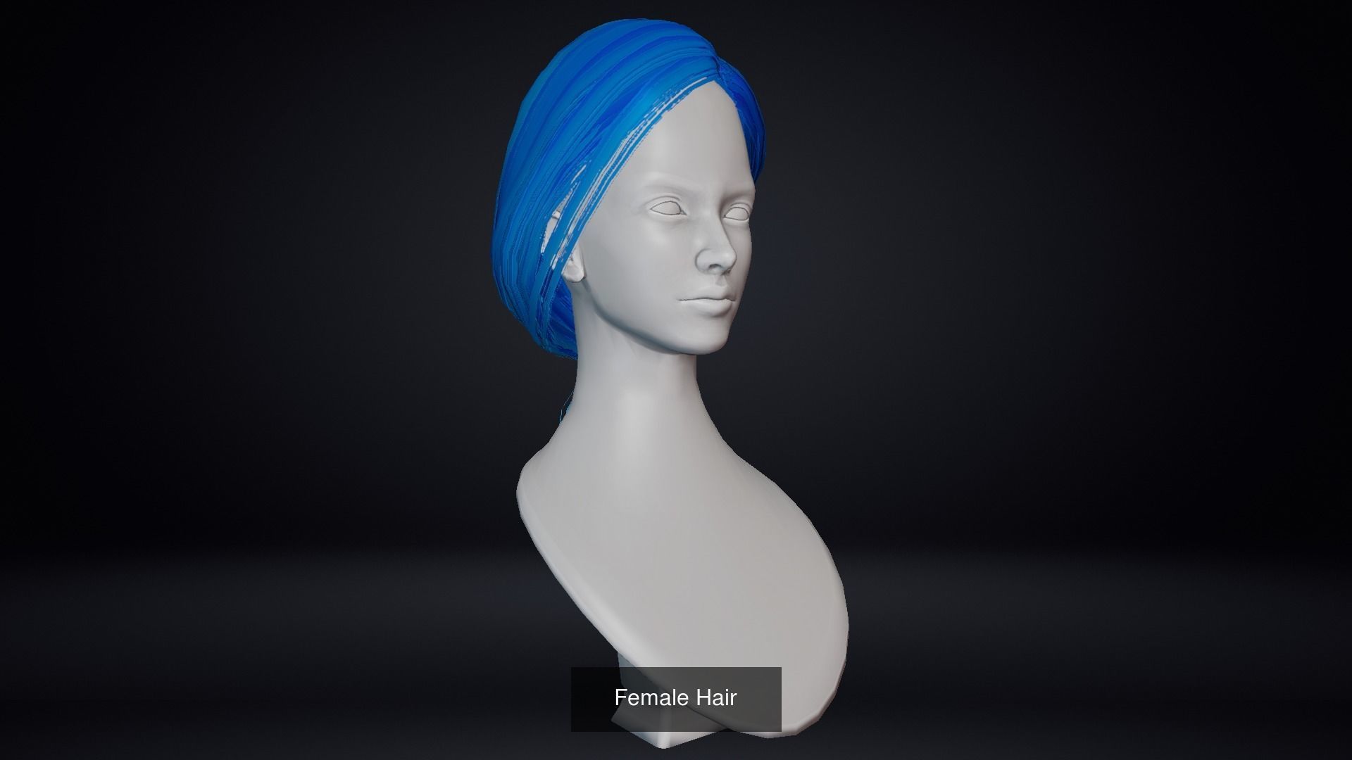 Female Hair Pack 20 Piece 3D Model Collection_4