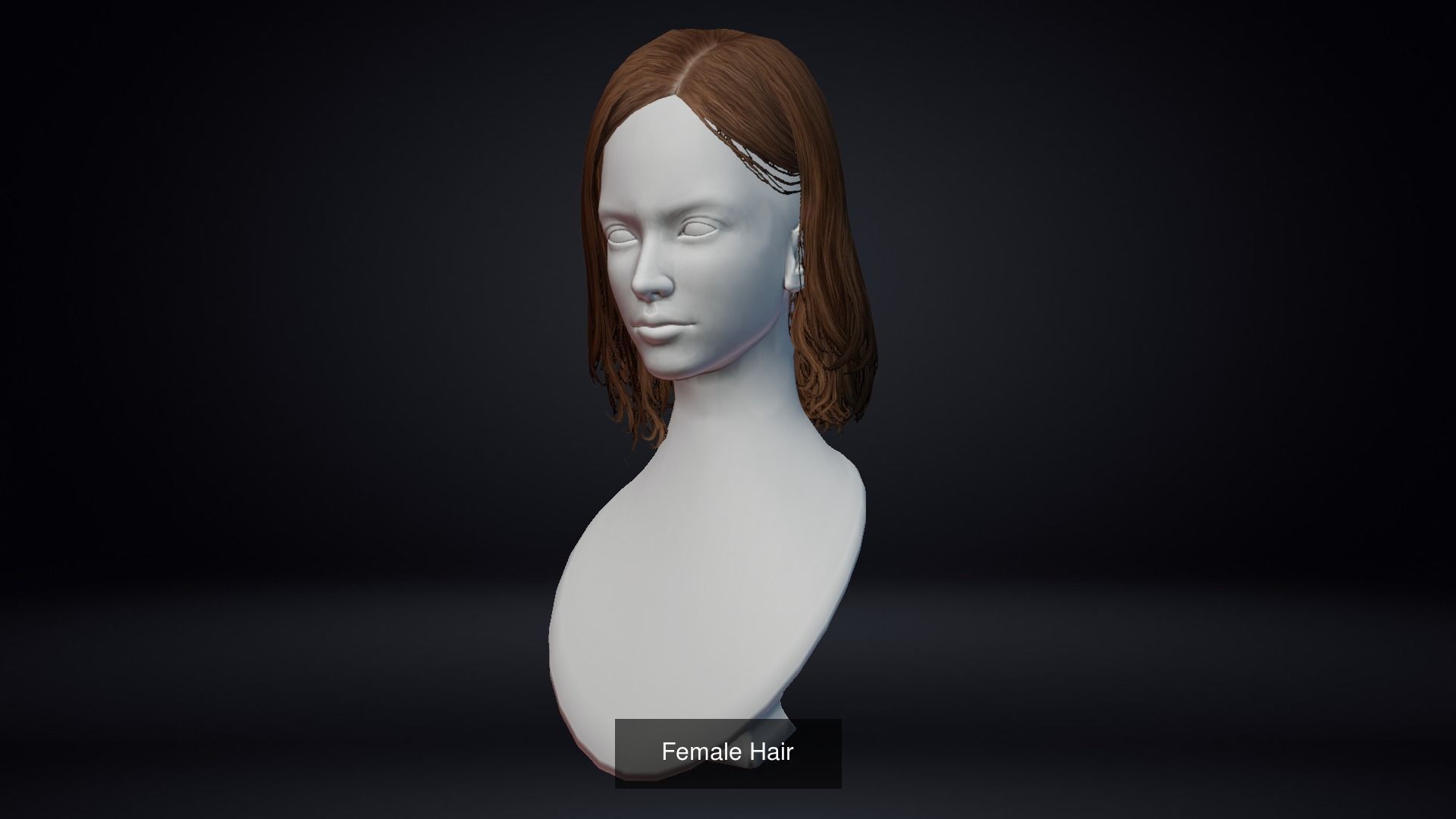 Female Hair Pack 20 Piece 3D Model Collection_10