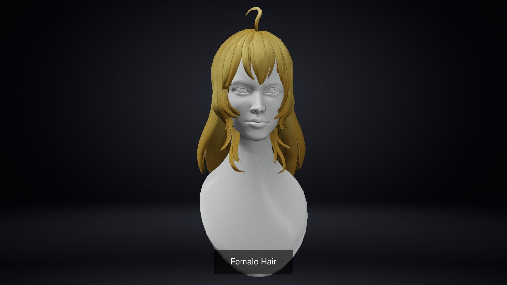 Female Hair Pack 20 Piece 3D Model Collection_9