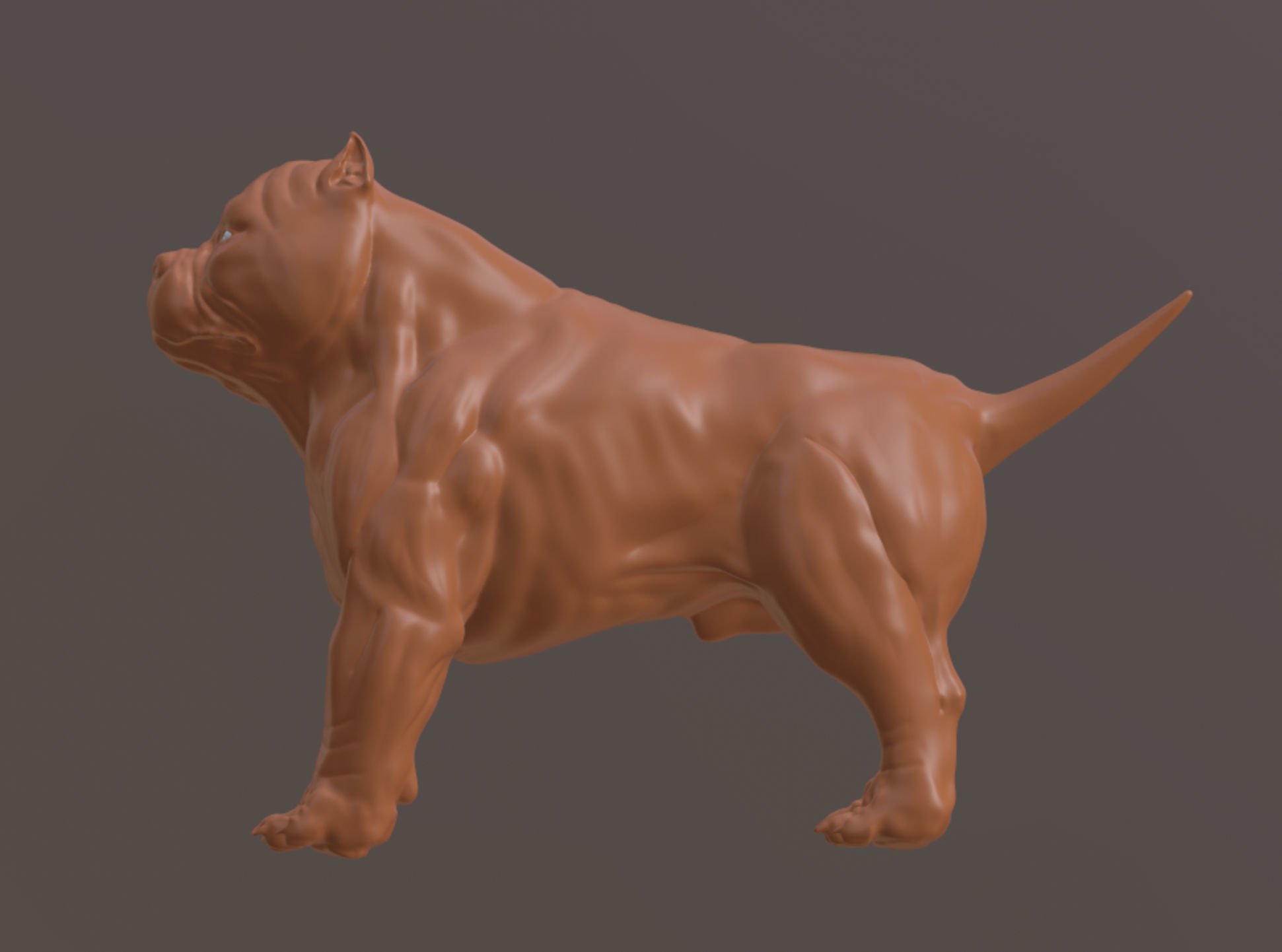 American Bully 3D print model_6