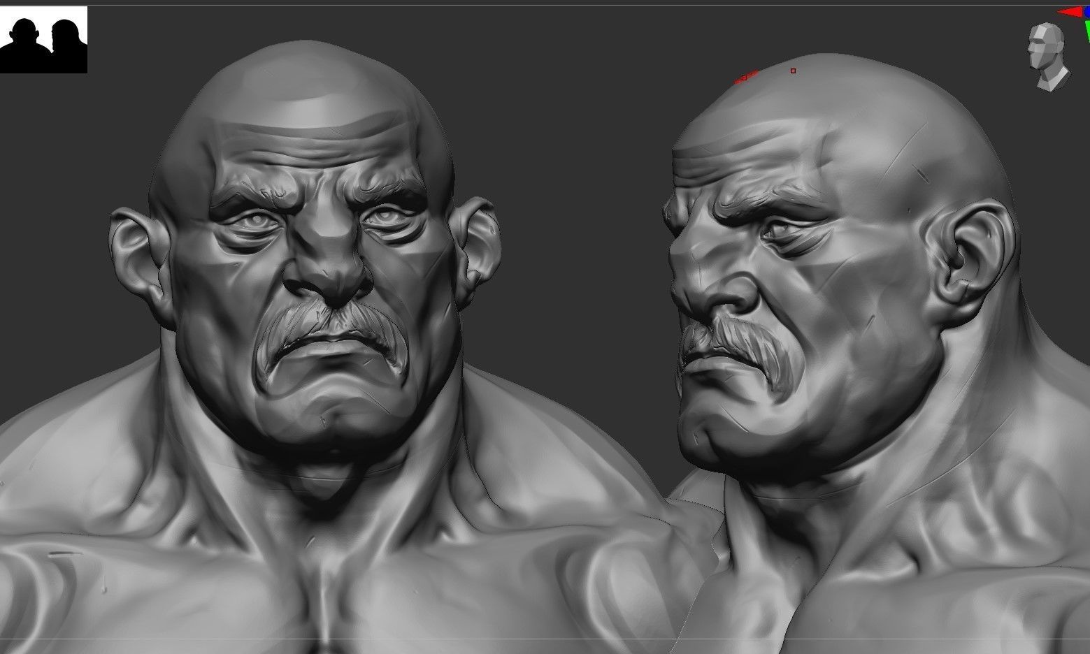 Stylized Boxer Anatomy 3D model_7