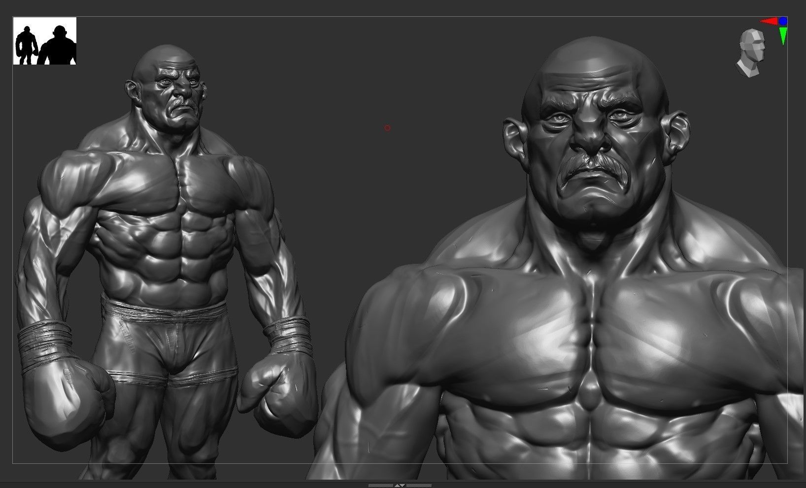 Stylized Boxer Anatomy 3D model_5
