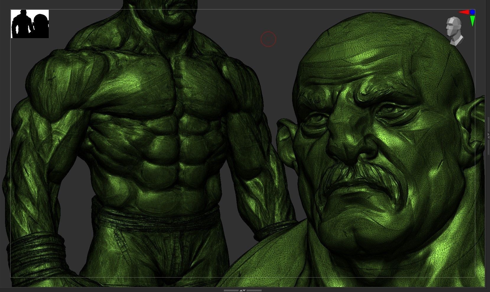 Stylized Boxer Anatomy 3D model_8