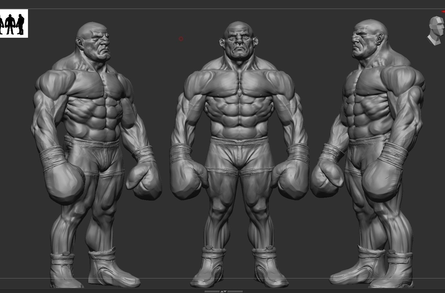 Stylized Boxer Anatomy 3D model_1