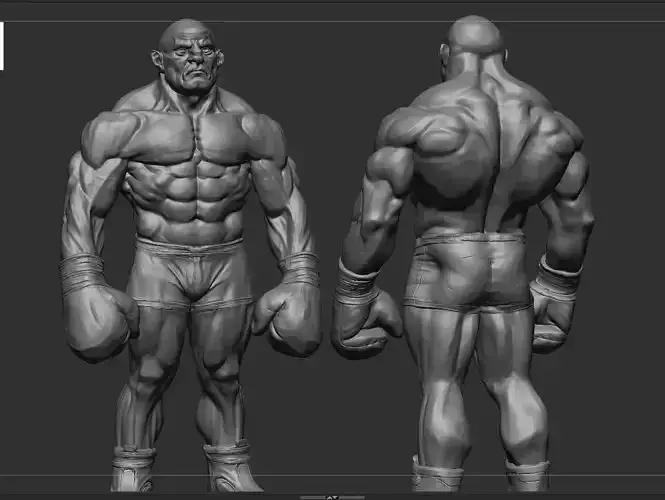 Stylized Boxer Anatomy