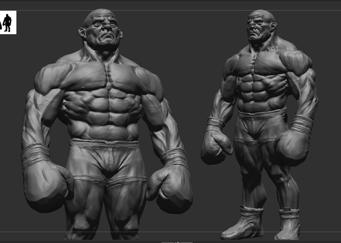 Stylized Boxer Anatomy 3D model_3